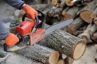 Garden Services and Firewood Processing